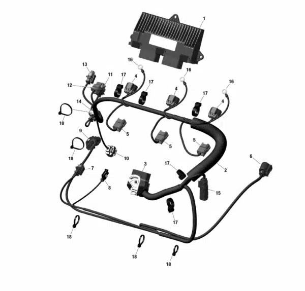 Câblage moteur - Engine Wiring Harness Ass'y Sea-Doo 1503-1630cc 130-155-230-300CV 2016-2020 référence 420964080, 420964082 – Image 2